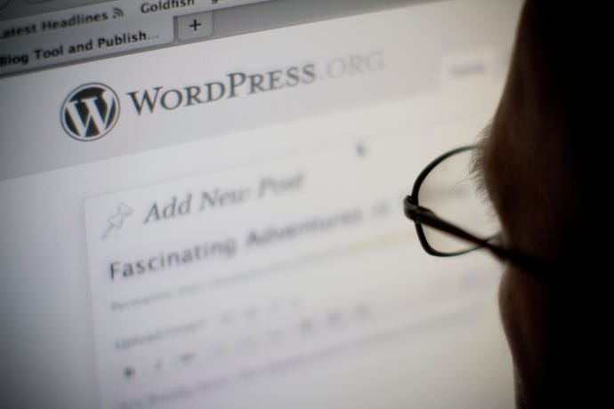 Man looking at screen displaying WordPress site