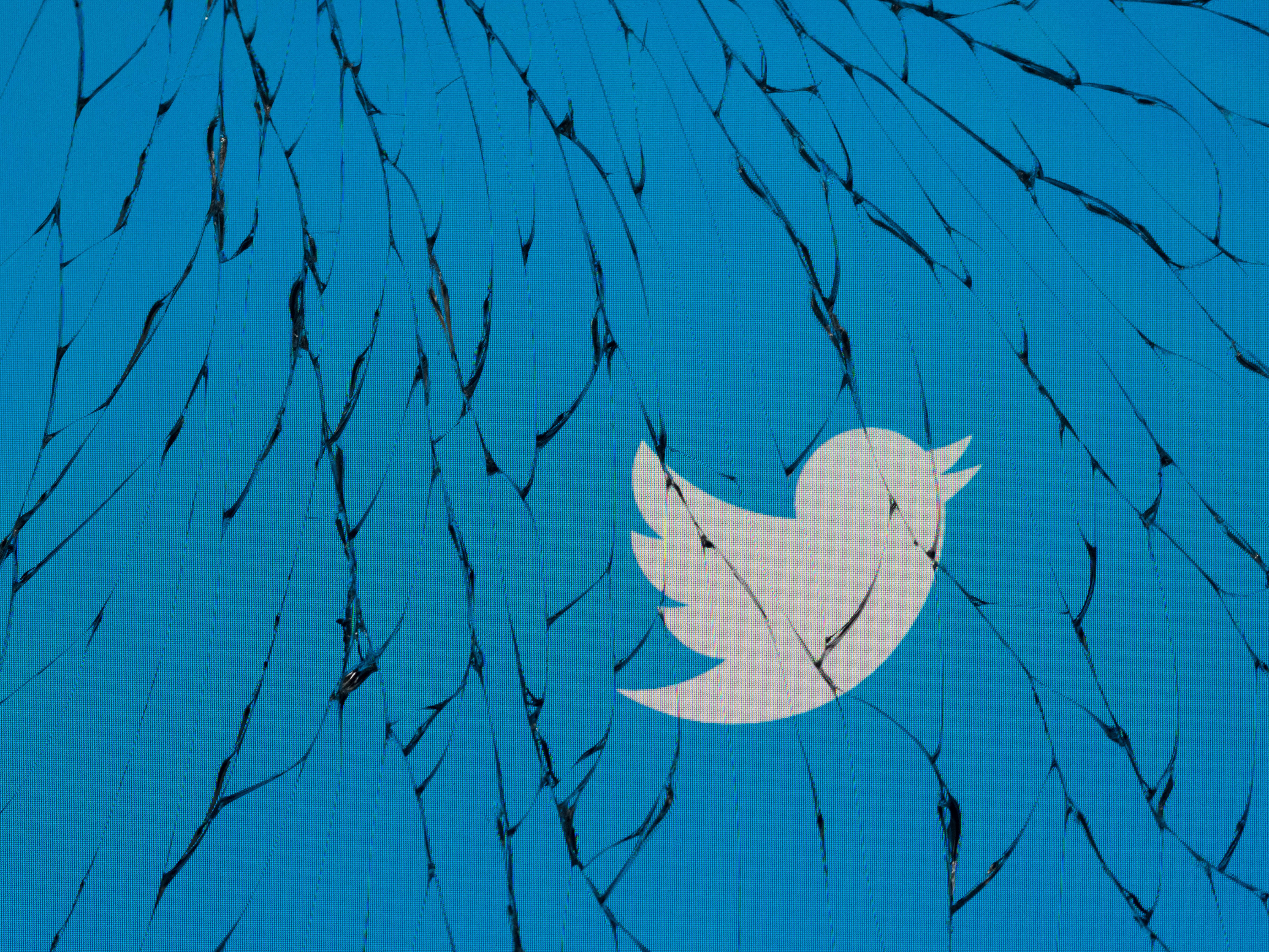 Twitter Implements API Paywall, but Will That Solve Its Enormous Bot Crisis?