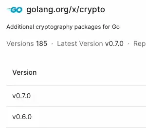 DroidGPT search results for cryptographic packages in Go.