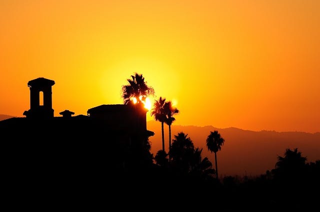 San Jose California looking toward the Santa Cruz Mountains as the sun is setting through Palm trees