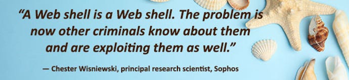 shells_blue_602.jpg