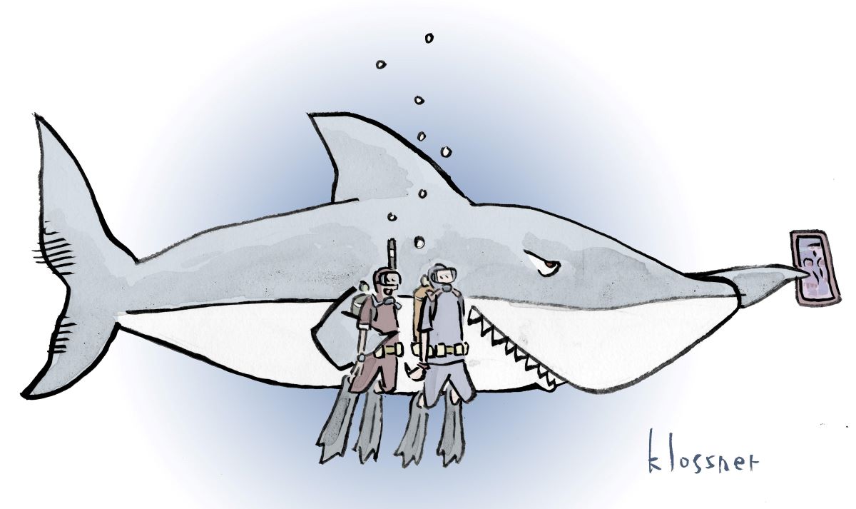 image for Name That Toon: Shar ...