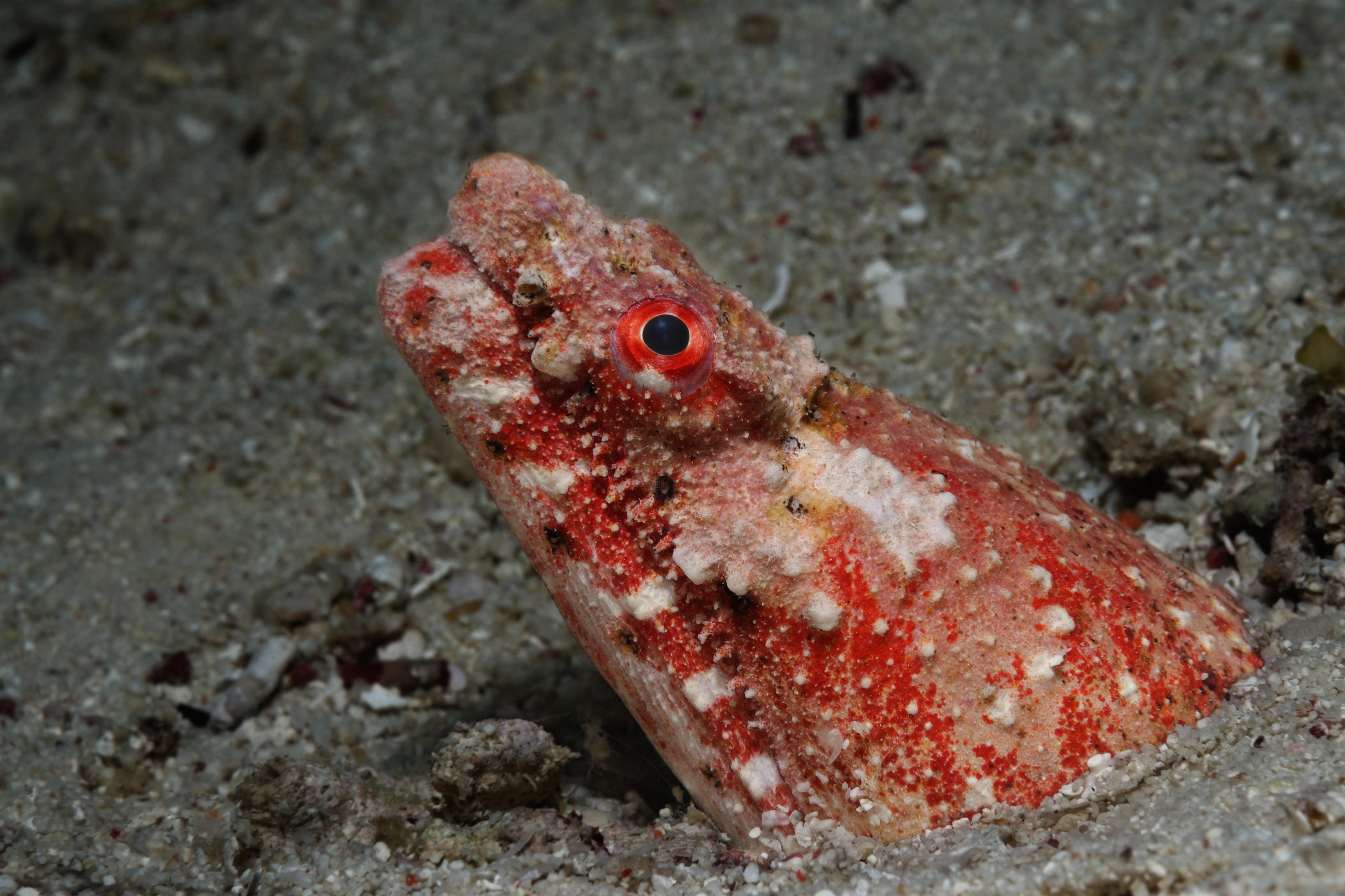 ScarletEel Hackers Gain Unauthorized Access to AWS Cloud