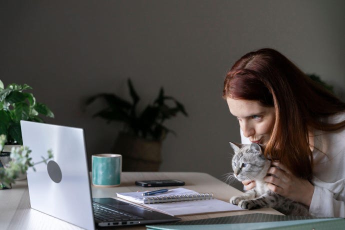 Woman kissing her cat's head while she works at home on her laptop