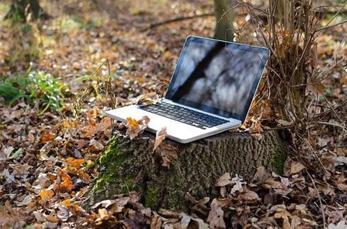 A laptop sits opened up on a tree stump in a forest where the ground is covered with autumn leaves