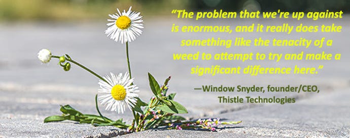 602_quote_windowsnyder.jpg
