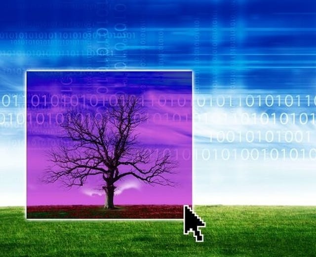 purple dead tree against green data environment