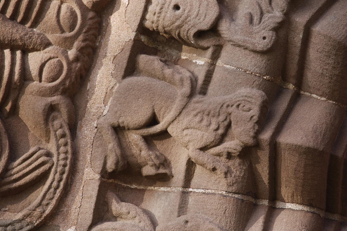 image for 