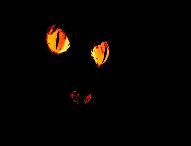 Scary monster face with glowing eyes and nose