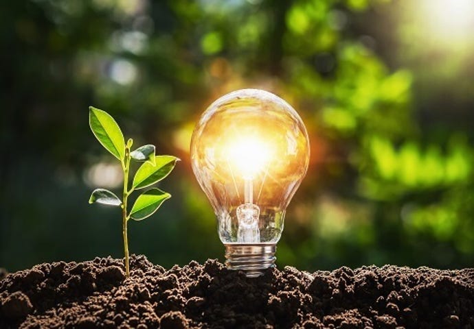 Glowing light bulb placed in nature next to sprouting plants.