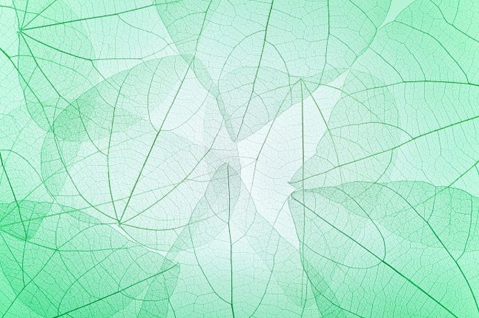 Young, green leaves symbolize Gen Z's dedication to fighting climate change with green IT.