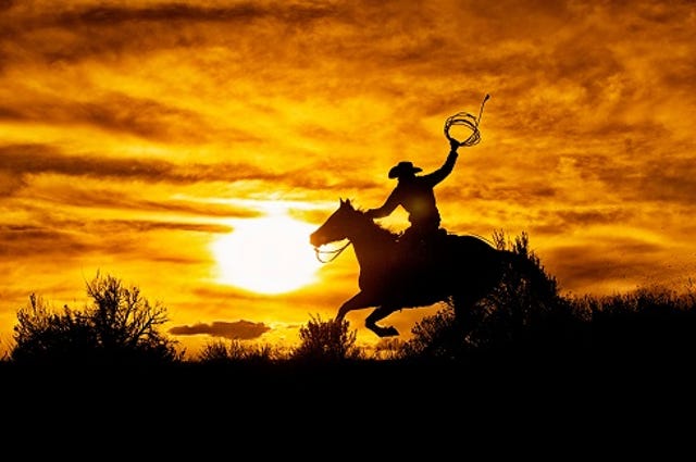 cowboy on horse in sunset wrangling