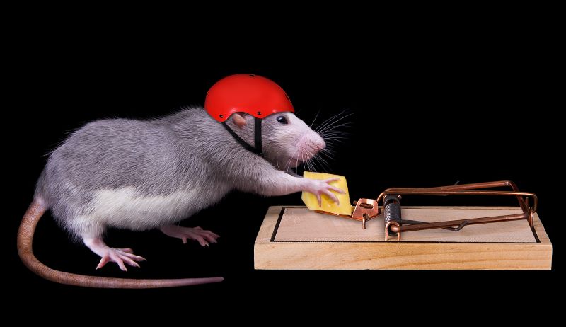 I Smell a RAT! New Cybersecurity Threats for the Crypto Industry