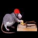 I Smell a RAT! New Cybersecurity Threats for the Crypto Industry
