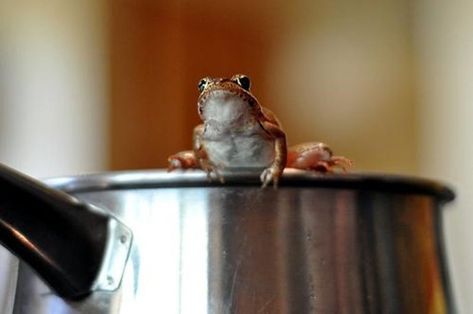 boiling-the-frog.jpg