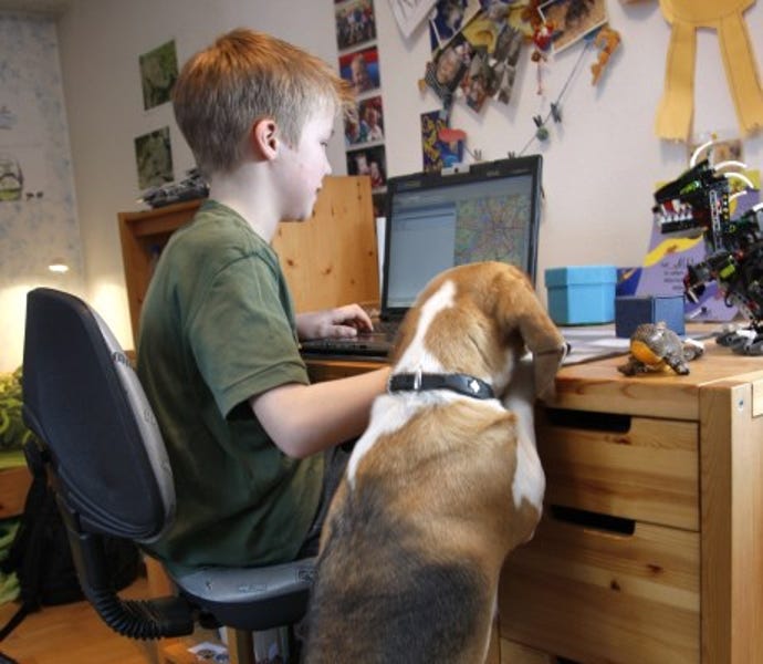 dogusinginternet.jpg