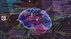 Image of a human brain, data processing and network of connections Image of a human brain, data processing and network of connections