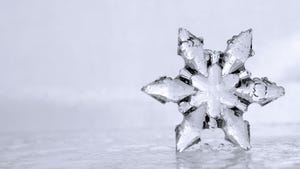 Close up photograph of a cool winter snowflake sitting on an icy, watery surface