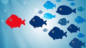 Illustration of fish following a different leader.
