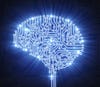 BrainCircuit.jpg BrainCircuit.jpg