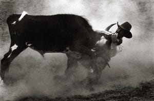 Man wrestles with steer as cloud of dust picks up.
