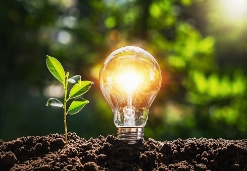 lightbulb in green, environmentally sustainable background
