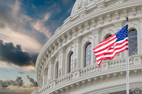 federal government IT federal government IT