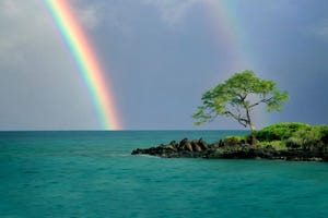 rainbow over a tropical island