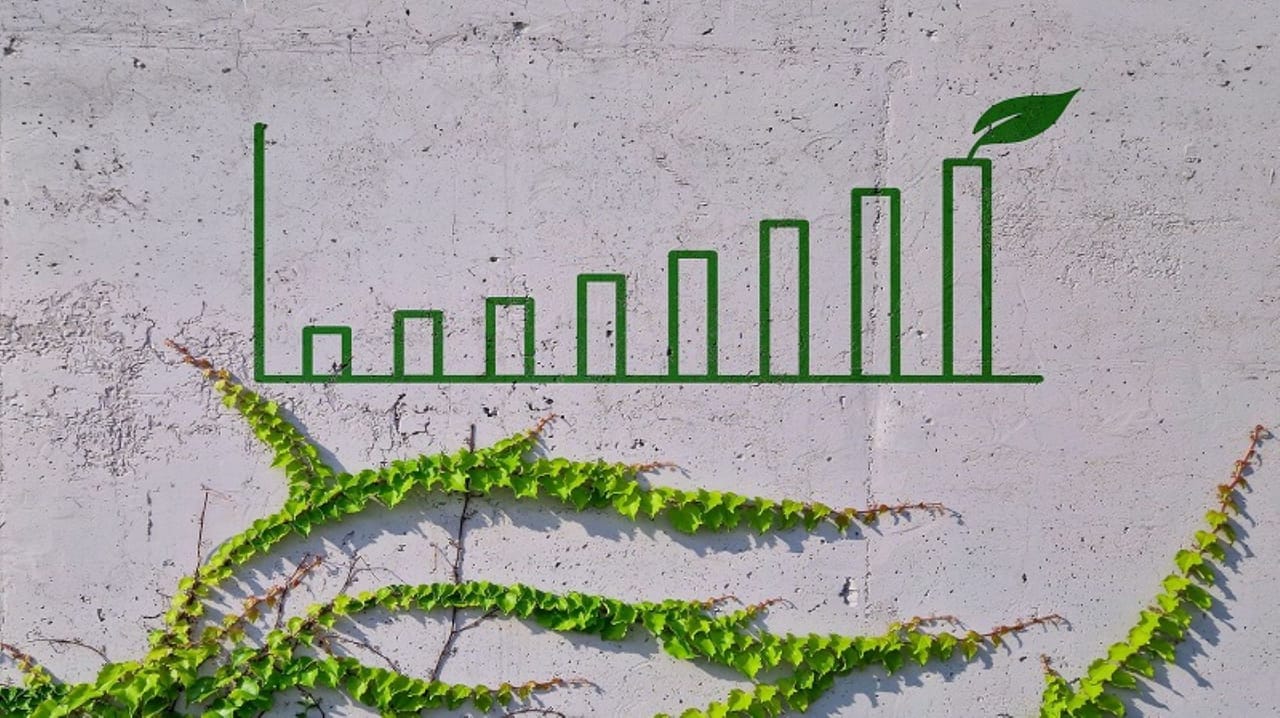 business chart on a concrete wall with green leaves growing around it business chart on a concrete wall with green leaves growing around it