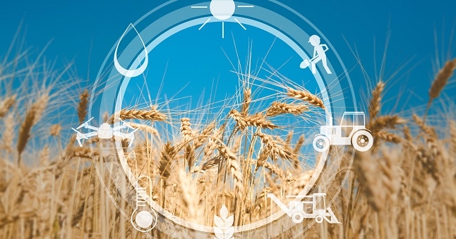 Technology Feeds Sustainable Agriculture | InformationWeek