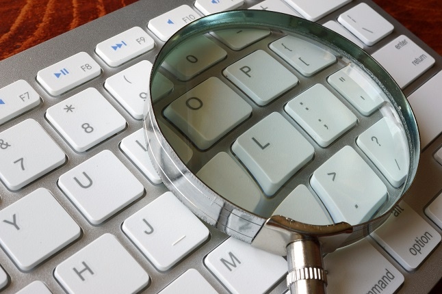 Magnifier and keyboard. Concept of search and audit.