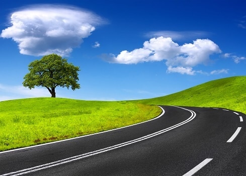 road through green fields and tree