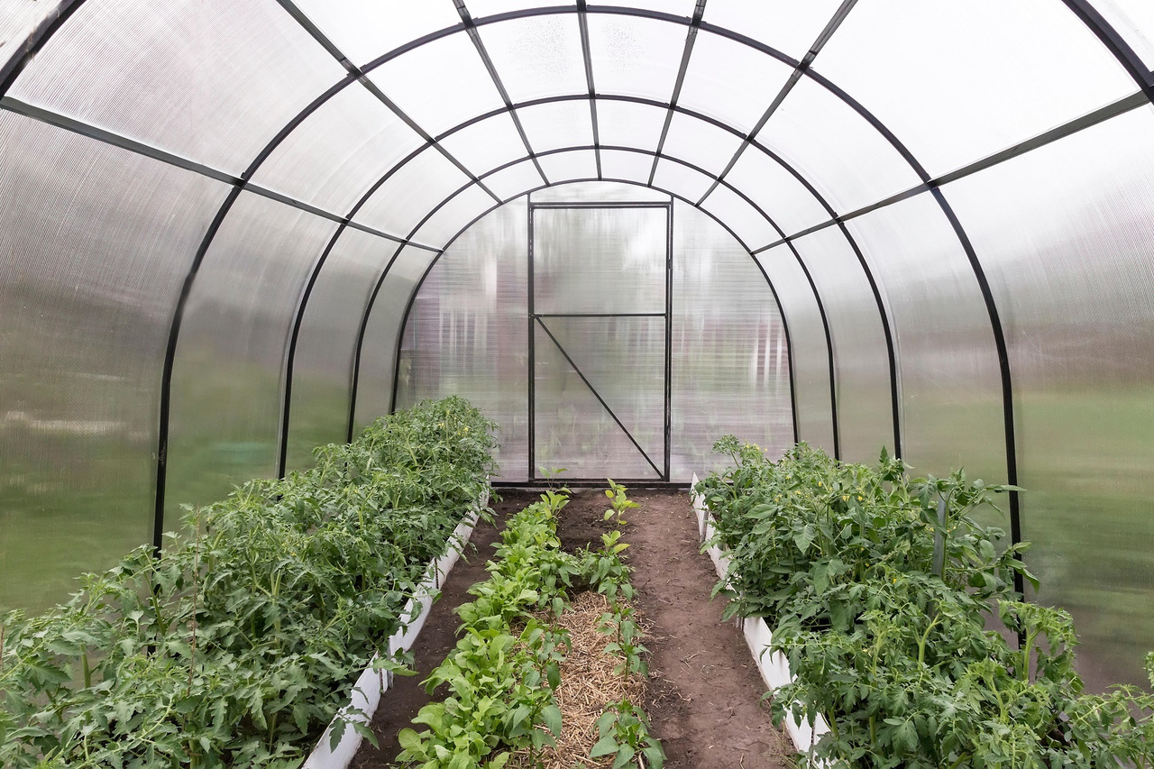 Reusing Heat Reusing Waste Heat from Data Centers to Make Things Grow
