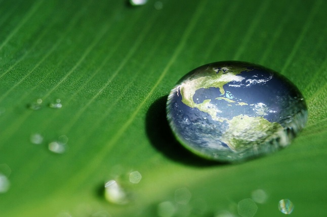 An image of the earth in a droplet of water on a leaf represents the importance of data center sustainability certifications.