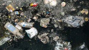 Pollution floating in river, Mumbai, India Pollution floating in river, Mumbai, India
