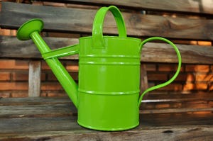 old fashioned lime green watering can