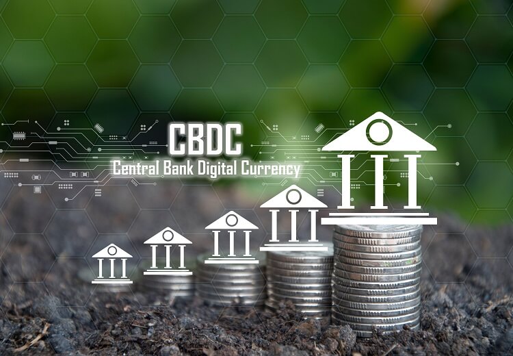 Growing stacks of coins with digital logo for central bank digital currency.