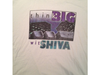 shiva.png shiva.png
