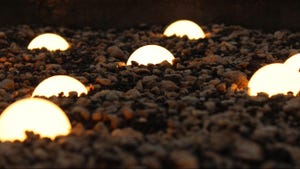 Light bulbs coming out from the ground symbolizing the growth of ideas or innovation. Light bulbs coming out from the ground symbolizing the growth of ideas or innovation.