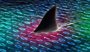 Shark swimming in a sea of digital information. 