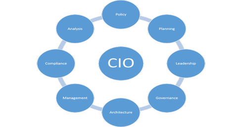 CIO certificate and course