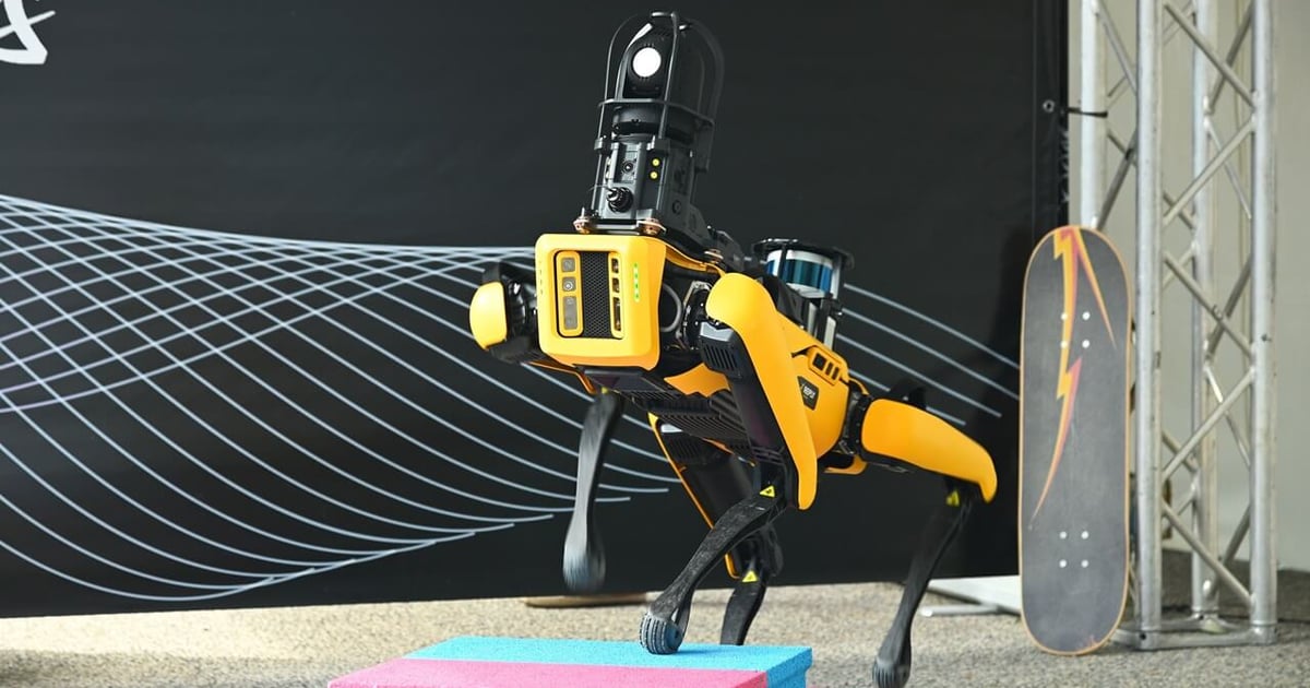 Why Polyfunctional Robots Are Gaining Momentum Why Polyfunctional Robots Are Gaining Momentum