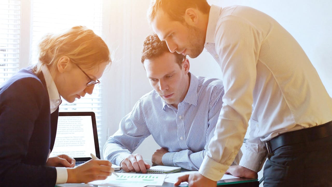 Business team working on a project Business team working on a project