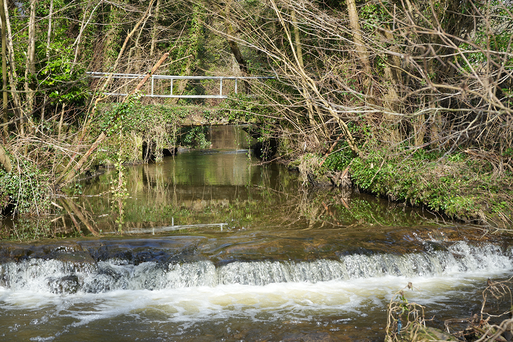 wetland-stream.png