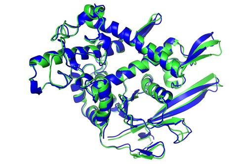 DeepMind Achieves Significant Protein Folding Breakthrough Using AI ...