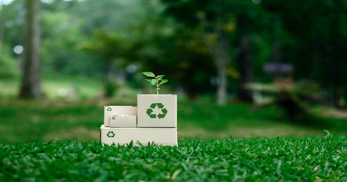 Nestlé and IBM Harness Generative AI for Sustainable Food Packaging Solutions