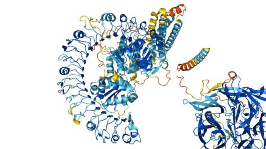 The structure of a protein modelled by AlphaFold