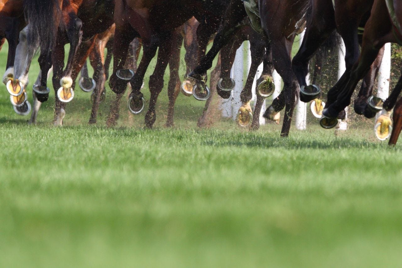 馬のレースの写真