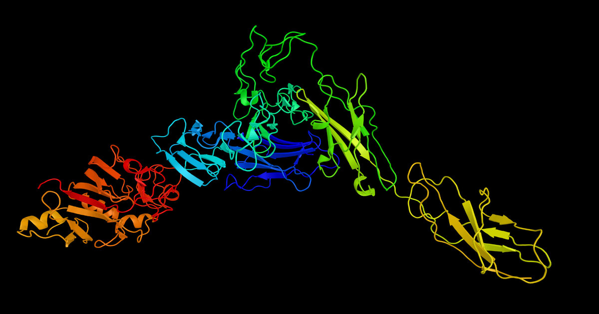 Meta Lays Off Team Behind Revolutionary Protein-folding Model