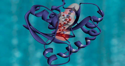 DeepMind releases AlphaFold 2—an open source version of its protein ...